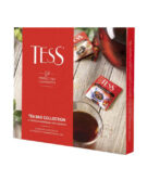 Tess-17